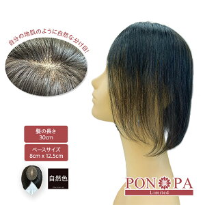 EBbO  ނ l100% 30cm gbvs[X PON-PA Limited |p~ebh