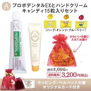 NX}XMtgZbg 2025 NX}XbsOt! 킢xxbgВ XmasJ[htI f^PA nhN[ v|XLfB[yz