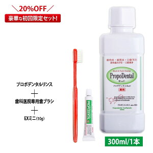 Ԍ5%OFF!yzv|X t݂̂͂ t̎ t̃n~KL ۑ a Zx p wv|f^XR&C Zbgx f^X 