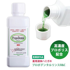 Zx v|Xz }EXEHbV lC p t n~KL wv|f^ X R&C(300ml)1{xa ^R    Rۍp L\h L΍ \h 
