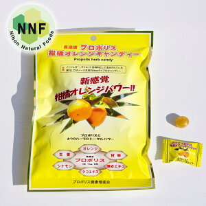 y[ցi䂤pPbgpj@zv|XGLXz@mVK[̂ǈwv|XIWLfB[xԕǑ΍@Rہ@Eہ@\h@sgp@ނ