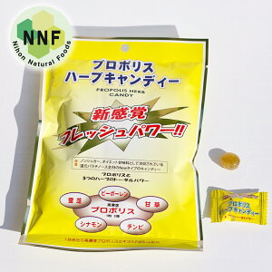 y[ցi䂤pPbgpj@zv|XGLXz@̂ǈwv|Xn[uLfB[xԕǑ΍@Rہ@Eہ@\h@sgp@ނɂȂɂ@v