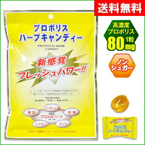 y[ցi䂤pPbgpj@zv|XGLXz@̂ǈwv|Xn[uLfB[xԕǑ΍@Rہ@Eہ@\h@sgp@ނɂȂɂ@v