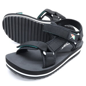 A[mhp[}[ fB[X X|[cT_ AL5418 ubN ARNORD PALMER ^đ΍ACe SEED