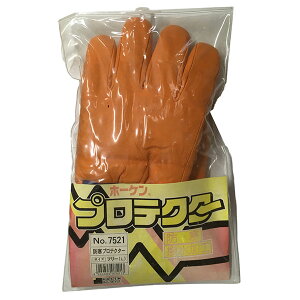 i No7521 z[P hveN^[ L (A)