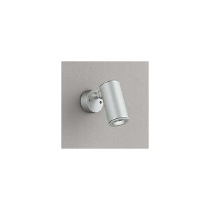 (s)I[fbN OG254851P1 X|bgCg (A)