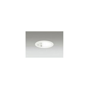 (����s��)�I�[�f���b�N OD261966R LED�_�E�����C�g �����FLED�uR15�v(�����F) �Z���T�[�t (A)