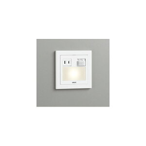 (����s��)�I�[�f���b�N OB255032P1 �t�b�g���C�g (A)