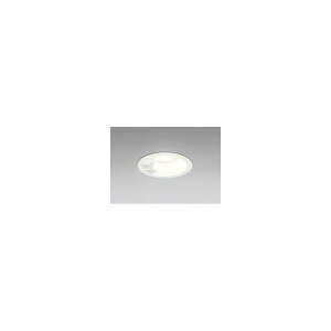 (����s��)�I�[�f���b�N OD261942R �_�E�����C�g (A)