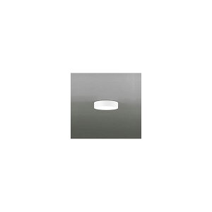 (����s��)�I�[�f���b�N OL251359R �V�[�����O���C�g (A)