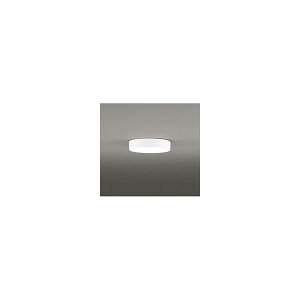 (����s��)�I�[�f���b�N OL251750R �V�[�����O���C�g (A)