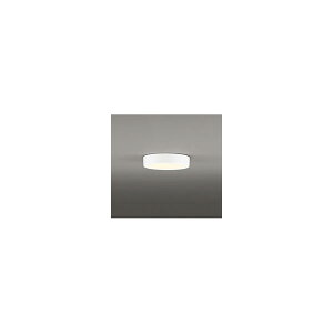 (����s��)�I�[�f���b�N OL251751R �V�[�����O���C�g (A)