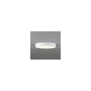 (����s��)�I�[�f���b�N OL251855R �V�[�����O���C�g (A)