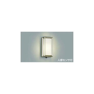 (s)RCY~Ɩ AU40409L LED|[`Cg(dF) ZT[t (C)