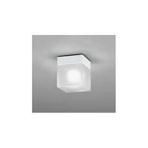 (����s��)�I�[�f���b�N OW009357NR �o�X���[�����C�g (B)