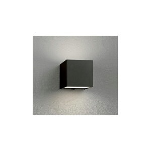 (����s��)�I�[�f���b�N OG254380R �|�[�`���C�g (B)