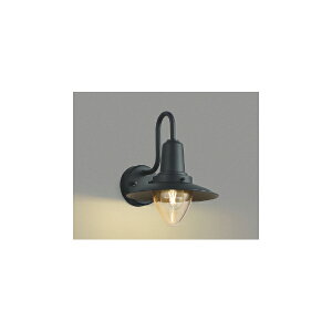 (s)KOIZUMI RCY~Ɩ AU50362 LED hJuPbgCg dF (C)