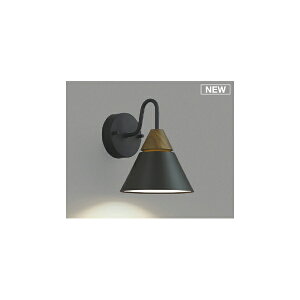 (s)KOIZUMI RCY~Ɩ AB53839 LED uPbgCg F (C)