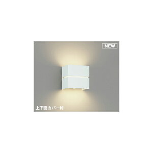 (s)KOIZUMI RCY~Ɩ AB54126 LED uPbgCg F (B)