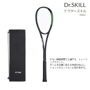 lbNX@\tgejXPbg Kp@hN^[XLDr.Skill DRSKG