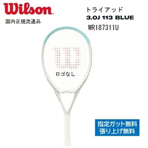 EB\@Wilson dejXPbgWR187311U@gCAbh@X[3.0J 113 BLUEKʕi AXwKbgAH