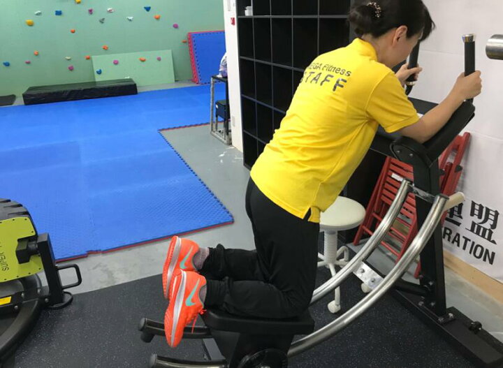 楽天市場】アブコースター 業務用アブコースター 腹筋 シェイプアップ 