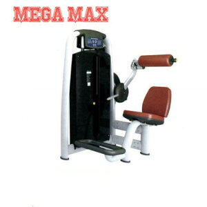 obNGNXeV@ƖpobNGNXeV@@{iIg[jO}V@AD2006@600