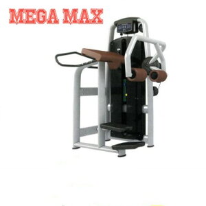 �O���[�g�@�Ɩ��p�A�C�\���[�^�[�@�{�i�I�g���[�j���O�}�V���@AD2023 600