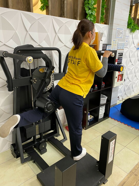 楽天市場】マルチヒップ 業務用マルチヒップ レッグスイング お尻 