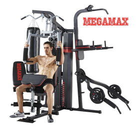 マルチホームジム　マルチジム　3ステーション　家庭用　大型　ショルダープレス　ペックフライ　ラットプルダウン　ロー　ディップス　プレス系　レッグエクステンション　チンニング　ウェイト　プレートロード　本格的トレーニングマシン　AD-M002　400