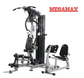 マルチホームジム　2ステーション　チェストプレス　ラットプルダウン　チェストプレス　ショルダープレス　レッグエクステンション　レッグプレス　ケーブル　ローイング　スタック50kg　ホームジム　パーソナルトレーニング　多機能型　業務用　パーソナルジム　AD-9012