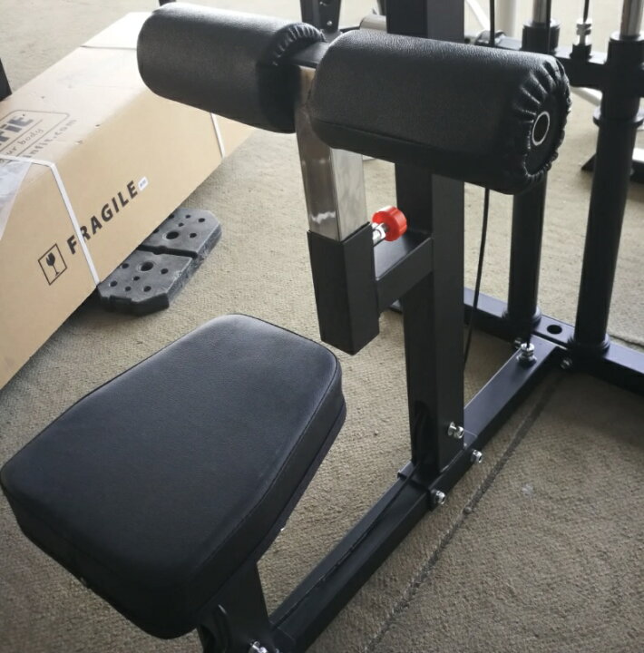 楽天市場】ラットプルダウン ラットプル プレート専用 ホームジム 