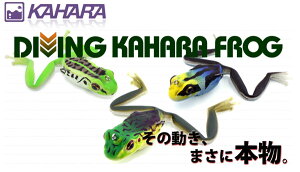 NBCEFECOF菤iI JnWpiKAHARAJAPANj _CrO Jn tbO y[NGzygbvEH[^[A[z
