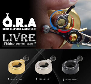 KebN u QRA 206^Cv 14V}m IVARNGXg200Kӂ y[OKzy񂹏iz