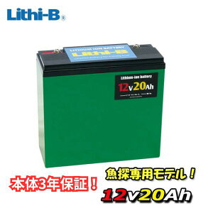 ���`�r�[(Lithi-B) ���`�E���o�b�e���[ 12V20Ah LiFePO4 (�����_�S���`�E���C�I���o�b�e���[) �y���������z�y���T��p�z