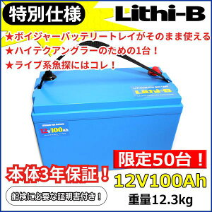 y50胂fIz `r[iLithi-Bjobe[ 12V 100Ah iLiFePO4) yzy5000˔jz