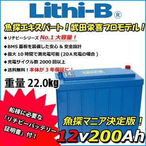���`�r�[(Lithi-B) ���`�E���o�b�e���[ 12V200Ah LiFePO4 (�����_�S���`�E���C�I���o�b�e���[) �y���������z