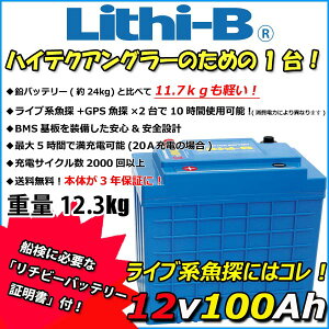 ���`�r�[(Lithi-B) ���`�E���o�b�e���[ 12V100Ah LiFePO4 (�����_�S���`�E���C�I���o�b�e���[) �y���������z