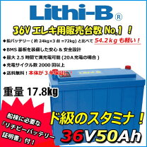 楽天市場】リン酸鉄リチウムバッテリー 36vの通販