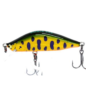 CgENtg {EC 42S #GYG y[OKz