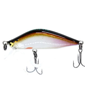 CgENtg {EC 42S #WP y[OKz