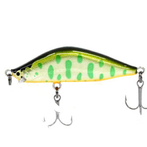 CgENtg {EC 42S #YMG y[OKz