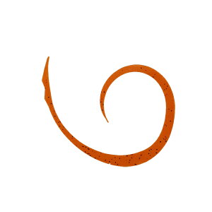 WbJ rrXCb`T{lN^C }CNJ[[X 4{ #F-0298 R[ y[OKz