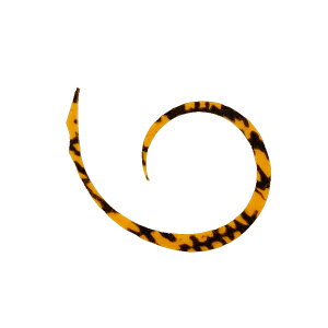 WbJ rrXCb`T{lN^C }CNJ[[X 4{ #F-0118 V}V}IW y[OKz