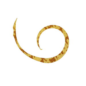 WbJ rrXCb`T{lN^C }CNJ[[X 4{ #F-0304 GrI y[OKz