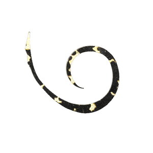 WbJ rrXCb`T{lN^C }CNJ[[X 4{ #F-0310 ubNS[h y[OKz