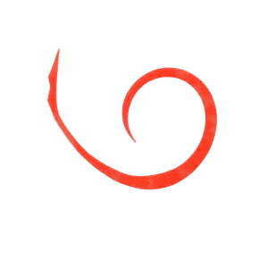 WbJ rrXCb`T{lN^C }CNJ[[X 4{ #F-0280 uCgIW y[OKz