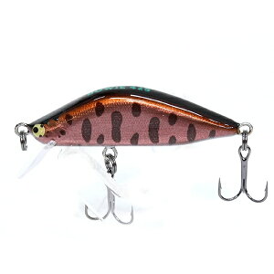 CgENtg {EC 42S #KBP y[OKz