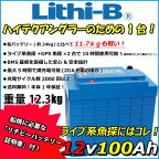 感謝価格！ リチビー(Lithi-B) リチウムバッテリー 12V100Ah LiFePO4 (リン酸鉄リチウムイオンバッテリー) 【送料無料】【5000台突破】