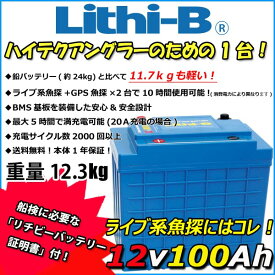 感謝価格！ リチビー(Lithi-B) リチウムバッテリー 12V100Ah LiFePO4 (リン酸鉄リチウムイオンバッテリー) 【送料無料】【5000台突破】